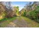 Long driveway leading to house through wooded area at 3593 S Island Rd., Georgetown, SC 29440