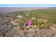 Aerial view of property showing home location and surrounding area at 9095 Highway 701 South, Conway, SC 29527