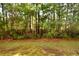 Scenic backyard with lush green grass and mature trees at 118 Birch N Coppice Dr. # 3, Surfside Beach, SC 29575