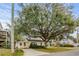 Charming home exterior with a large tree providing shade and curb appeal at 913 S Dogwood Dr. S, Surfside Beach, SC 29575