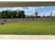 Green backyard featuring newly planted trees with grass and a partial view of a covered patio at 148 Joyce Dr, Longs, SC 29568