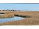 Marsh view with water and buildings at 172 Enclave Pl., Pawleys Island, SC 29585