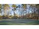 Well-maintained community tennis court surrounded by tall trees at 260 Barclay Dr., Myrtle Beach, SC 29579