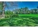 Scenic view of a vibrant green lawn extending into a picturesque wooded area under a clear blue sky at 1007 Brood Ct., Conway, SC 29526