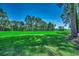 Lush green lawn extending into a picturesque green space with mature trees and natural beauty at 1007 Brood Ct., Conway, SC 29526