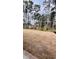 Expansive backyard with potential for outdoor activities, backed by mature trees for added privacy at 1091 Forest Bend Dr., Calabash, NC 28467