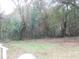 Backyard with foliage and chain link fence at 223 Greentown Rd., Georgetown, SC 29440