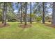 Beautiful backyard with mature trees, a hammock, and lush green grass at 8234 Timber Ridge Rd., Conway, SC 29526