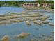 Enjoy water views from the condo; nature abounds at 9547 Edgerton Dr. # 204, Myrtle Beach, SC 29572