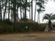 Park-like setting of community area with benches, trees and a small building nestled among the trees at 207 Indian Wells Ct. # 207, Murrells Inlet, SC 29576