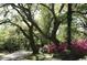 Street view lined with mature trees, flowering bushes, and greenery creating a picturesque neighborhood scene at 3127 Tiger Tail Rd., Conway, SC 29526