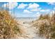 Beautiful beach view framed by natural dunes and vegetation, promising a serene escape at 4601 Lewis St., North Myrtle Beach, SC 29582