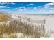 Scenic beach view with dunes and wooden fencing, offering a tranquil coastal experience at 4601 Lewis St., North Myrtle Beach, SC 29582