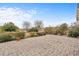 Brick patio with landscaping, offering relaxing outdoor living space at 5230 Piemonte Ln., Myrtle Beach, SC 29579