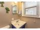 Bathroom with painted sink cabinet, sink, toilet, window, and mirror at 1105 Palmetto St., Georgetown, SC 29440