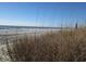 Coastal beach view of ocean featuring sandy shore and gentle waves at 4111 Ocean Blvd. S # 402, North Myrtle Beach, SC 29582