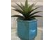 Close up of modern square ceramic planter and decorative house plant as table decor at 901 West Port Dr. # 1807, North Myrtle Beach, SC 29582