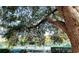 View of tennis court framed by a large tree at 101 Ocean Creek Dr. # Dd-9, Myrtle Beach, SC 29572