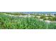 Scenic beach view with vegetation in the foreground, leading to sand and ocean at 1105 S Ocean Blvd. # 336, Myrtle Beach, SC 29577