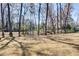 View of the beautiful backyard with mature trees at 474 Wraggs Ferry Rd., Georgetown, SC 29440