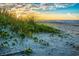 Beautiful beach view featuring lush dune vegetation and the ocean horizon during a vibrant sunset at 1808 Sunshine Ct., North Myrtle Beach, SC 29582