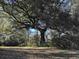 Scenic lot featuring a massive live oak tree providing shade and character at 402 Wilkinson St., Georgetown, SC 29440