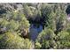 Overhead view of a serene pond surrounded by tall pine trees and lush greenery at 402 Wilkinson St., Georgetown, SC 29440