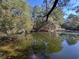 Scenic pond surrounded by lush trees, reflecting a peaceful and natural landscape at 402 Wilkinson St., Georgetown, SC 29440