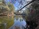 Picturesque pond reflecting the surrounding trees and sky, creating a serene setting at 402 Wilkinson St., Georgetown, SC 29440