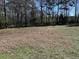 Large backyard with a partial view of the surrounding trees, offering a peaceful retreat at 415 Circle Dr., Johnsonville, SC 29555