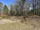 This backyard features a view of tall trees in a park-like setting at 415 Circle Dr., Johnsonville, SC 29555