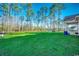 Expansive backyard featuring lush green grass and mature trees creating a private and serene outdoor space at 477 Cane Branch Rd., Loris, SC 29569