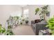 Bright living room filled with plants, a comfortable gray sofa, and natural light from a window at 616 Choctaw Dr., Conway, SC 29526