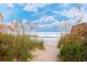 A sandy path leads to the ocean through lush beach grass and shrubbery at 2307 S Ocean Blvd. # 5A, North Myrtle Beach, SC 29582