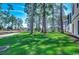 Lush green backyard surrounded by trees, offering a serene and private outdoor space at 4762 Cloister Ln., Myrtle Beach, SC 29577