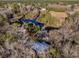 Aerial view of a property with a pond, home, and outbuilding surrounded by lush trees at 2724 A C Ln, Conway, SC 29526