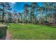 Expansive backyard with lush green lawn and mature trees at 4494 Aberdeen Way, Myrtle Beach, SC 29579