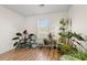 Bright living room filled with natural light from the window, showcasing the beautiful collection of plants at 4929 Pond Shoals Ct. # 201, Myrtle Beach, SC 29579
