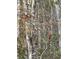 Backyard image featuring wildlife at 662 Sunnyside Dr. # 101, Murrells Inlet, SC 29576