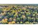 Aerial view of homes nestled amongst lush trees and foliage, giving the feel of seclusion at 237 Madison Dr., Georgetown, SC 29440