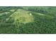 Aerial view of a vast field with surrounding trees at 721 Old Buck Creek Rd., Longs, SC 29568