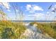 Scenic path to the beach through grassy dunes, highlighting coastal access at 202 Spreading Oak Dr., Pawleys Island, SC 29585