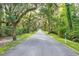 Charming street view lined with mature trees covered in Spanish moss at 202 Spreading Oak Dr., Pawleys Island, SC 29585