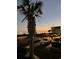 View of the parking lot with a palm tree and the ocean at sunset at 5601 N Ocean Blvd. # E-111, Myrtle Beach, SC 29577