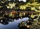 A tranquil view from Brookgreen Gardens at night, featuring the reflection of lights in water at 799 Mount Gilead Place Dr., Murrells Inlet, SC 29576