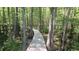 Charming wooden walkway winding through a tranquil swamp setting at 80 Stonington Dr., Murrells Inlet, SC 29576