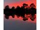 Tranquil water view at dusk showcasing tree silhouettes and water reflections at 1042 Muscovy Pl., Conway, SC 29526