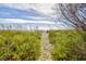 Path to the beach through green vegetation, offering a serene and natural walkway at 2401 S Ocean Blvd. # 859, Myrtle Beach, SC 29577