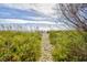 Beach access path through grassy dunes, leading to the ocean and inviting shores at 2401 S Ocean Blvd. # 953, Myrtle Beach, SC 29577