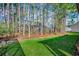 Beautiful backyard featuring green grass, a wooded treeline, and mature landscaping at 305 Aqua Vista Ct., Myrtle Beach, SC 29588